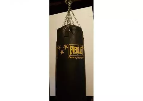 The Everlast Punching Bag